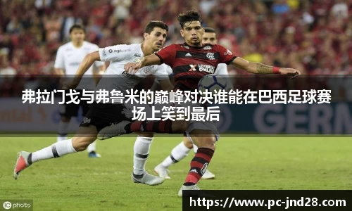 弗拉门戈与弗鲁米的巅峰对决谁能在巴西足球赛场上笑到最后