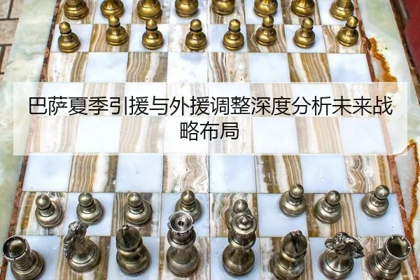 ba-sa-xia-ji-yin-yuan-yu-wai-yuan-tiao-zheng-shen-du-fen-xi-wei-lai-zhan-lve-bu-ju-1-294.jpg